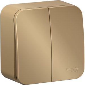 Фото Schneider Electric Blanca BLNVA105004 Выключатель двухклавишный (10 А, в сборе, открытая установка, титан)