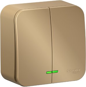 Фото Schneider Electric Blanca BLNVA105104 Выключатель двухклавишный с подсветкой (10 А, в сборе, открытая установка, титан)