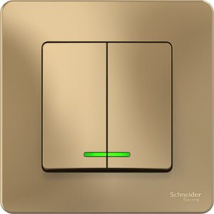 Фото Schneider Electric Blanca BLNVS010514 Выключатель двухклавишный (10 А, в сборе, подсветка, скрытая установка, титан)