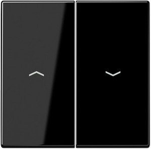 Фото Jung LS990 LS995PSW Клавиша двойная (символ "стрелки", черная)