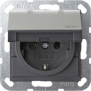 Фото Gira System55 0454600 Розетка с заземляющим контактом (16 А, под рамку, крышка, скрытая установка, сталь)