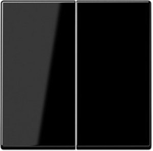 Фото Jung A500 A595SW Клавиша двойная (черная)