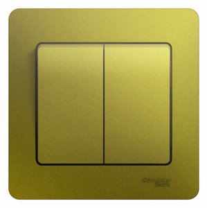 Фото Schneider Electric GSL001052 GLOSSA 2-клавишный ВЫКЛЮЧАТЕЛЬ, сх.5,10AX, в сборе, ФИСТАШКОВЫЙ
