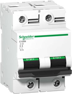 Фото Schneider Electric Acti 9 A9N18362 Автоматический выключатель двухполюсный 100А (10 кА, C)