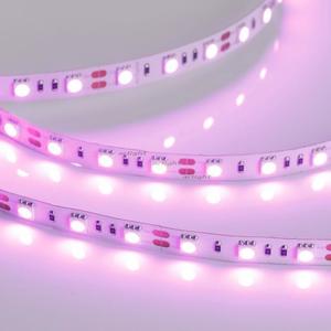 Фото Arlight RT 2-5000 015975 Светодиодная лента 12В Pink 2x (5060, IP33, 300 LED, LUX, 5 м)