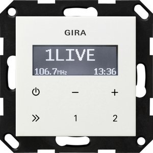 Фото Gira System55 228403 Радио (RDS, под рамку, скрытая установка, белое глянцевое)