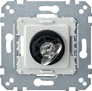 Фото Schneider Electric System M QuickFlex MTN318599 Выключатель с ключом на два положения (10 А, механизм, скрытая установка)