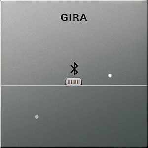 Фото Gira E2 2287600 Накладка Apple Lightning для вставки док-станции (нержавеющая сталь)