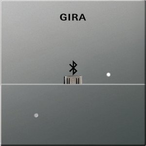 Фото Gira E2 2285600 Накладка USB-микро-B для вставки док-станции (нержавеющая сталь)