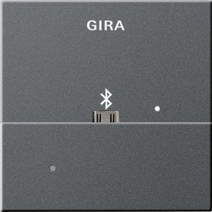 Фото Gira System55 228528 Накладка USB-микро-B для вставки док-станции (антрацит)