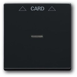 Фото ABB Династия/Future Linear/Carat 2CKA001710A3639 Накладка карточного выключателя (линза, антрацит/черный)