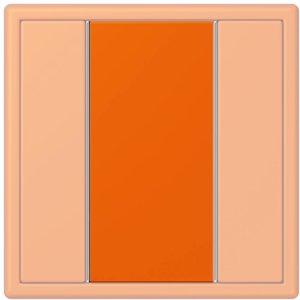 Фото Jung Le Corbusier LC50NA32080 Накладка для кнопочного модуля (orange)