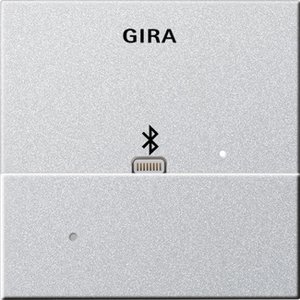 Фото Gira System55 228726 Накладка Apple Lightning для вставки док-станции (алюминий)