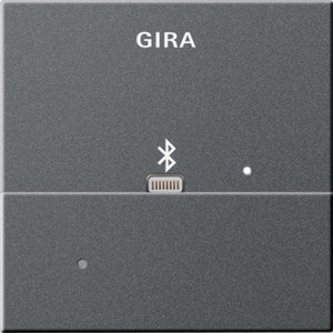 Фото Gira System55 228728 Накладка Apple Lightning для вставки док-станции (антрацит)