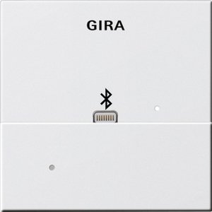 Фото Gira System55 228727 Накладка Apple Lightning для вставки док-станции (белая матовая)