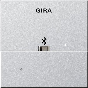 Фото Gira System55 228526 Накладка USB-микро-B для вставки док-станции (алюминий)