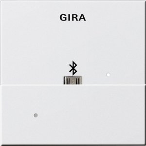 Фото Gira System55 228527 Накладка USB-микро-B для вставки док-станции (белая матовая)