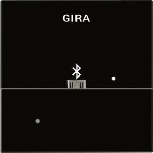 Фото Gira System55 228505 Накладка USB-микро-B для вставки док-станции (черное стекло)