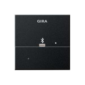 Фото Gira E2 2287005 Накладка Apple Lightning для вставки док-станции (черная матовая)