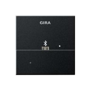Фото Gira E2 2285005 Накладка USB-микро-B для вставки док-станции (черная матовая)