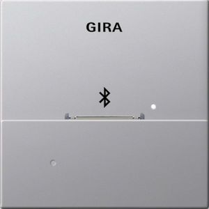 Фото Gira E22 2286203 Накладка для док-станции с разъемом 30-Pin (алюминий)