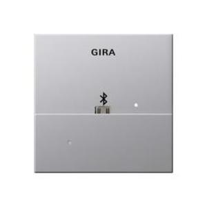 Фото Gira E22 2285203 Накладка USB-микро-B для док-станции (алюминий)