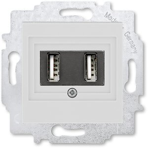 Фото ABB Levit 2CHH290040A6016 Розетка USB (2xUSB, под рамку, скрытая установка, серый/белый)