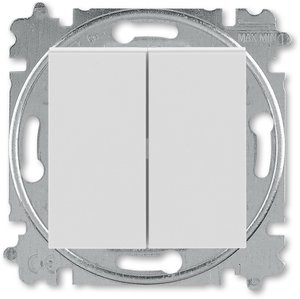 Фото ABB Levit 2CHH598745A6016 Выключатель двухклавишный кнопочный (10 А, под рамку, скрытая установка, серый/белый)