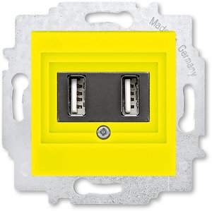 Фото ABB Levit 2CHH290040A6064 Розетка USB (2xUSB, под рамку, скрытая установка, желтый/дымчатый черный)