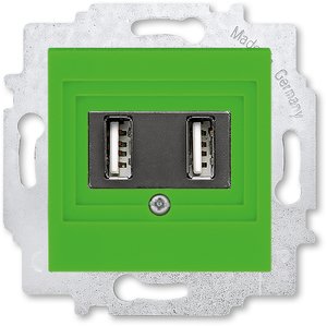 Фото ABB Levit 2CHH290040A6067 Розетка USB (2xUSB, под рамку, скрытая установка, зеленый/дымчатый черный)