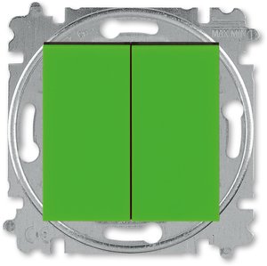 Фото ABB Levit 2CHH595245A6067 Переключатель двухклавишный (10 А, под рамку, скрытая установка, зеленый/дымчатый черный)