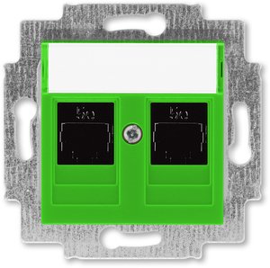 Фото ABB Levit 2CHH295118A6067 Розетка компьютерная (поле для надписи, 2хRJ45, под рамку, cat.5e, с/у, зеленый/дымчатый черный)