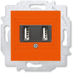 Фото ABB Levit 2CHH290040A6066 Розетка USB (2xUSB, под рамку, скрытая установка, оранжевый/дымчатый черный)