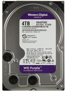 Фото Жесткий диск Western Digital WD42PURZ