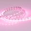 Фото Arlight RT 2-5000 015969 Светодиодная лента 24В Pink 2x (5060, IP33, 300 LED, LUX, 5 м)