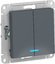 Фото Schneider Electric AtlasDesign ATN000753 Выключатель двухклавишный (10 А, под рамку, подсветка, скрытая установка, грифель)