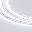 Фото Arlight RT 2-5000-50m White5500 2x 024569 Светодиодная лента 24В (3528, IP33, 120 LED/m, LUX, 5 м)