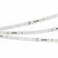 Фото Arlight RT-10000 White6000 024987 Светодиодная лента 24В (3528, IP33, 60 LED/m, 10 м)