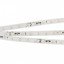 Фото Arlight RT-20000 White5500 025010 Светодиодная лента 24В (3528, IP33, 60 LED/m, 20 м)