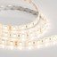 Фото Arlight RTW 2-5000SE Warm 2x 015279(B) Светодиодная лента 24В (5060, IP65, 300 LED, LUX, 5 м)