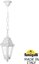 Фото Fumagalli Sichem/Anna E22.120.000.WXF1R Подвесной светильник на цепочке с 1 фонарем 800 мм (корпус белый, плафон прозрачный)