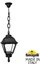 Фото Fumagalli Sichem/Cefa U23.120.000.AXF1R Подвесной светильник на цепочке с 1 фонарем 820 мм (корпус черный, плафон прозрачный)