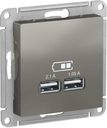Schneider Electric AtlasDesign ATN000933 Розетка USB (2xUSB, под рамку, скрытая установка, сталь)