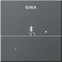Gira System55 228528 Накладка USB-микро-B для вставки док-станции (антрацит)