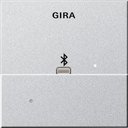 Gira System55 228726 Накладка Apple Lightning для вставки док-станции (алюминий)