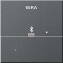 Gira System55 228728 Накладка Apple Lightning для вставки док-станции (антрацит)